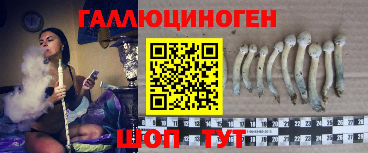 Великий Устюг  Псилоцибиновые грибы Cubensis  Псилоцибиновые грибы мицелий  Вход с VPN 